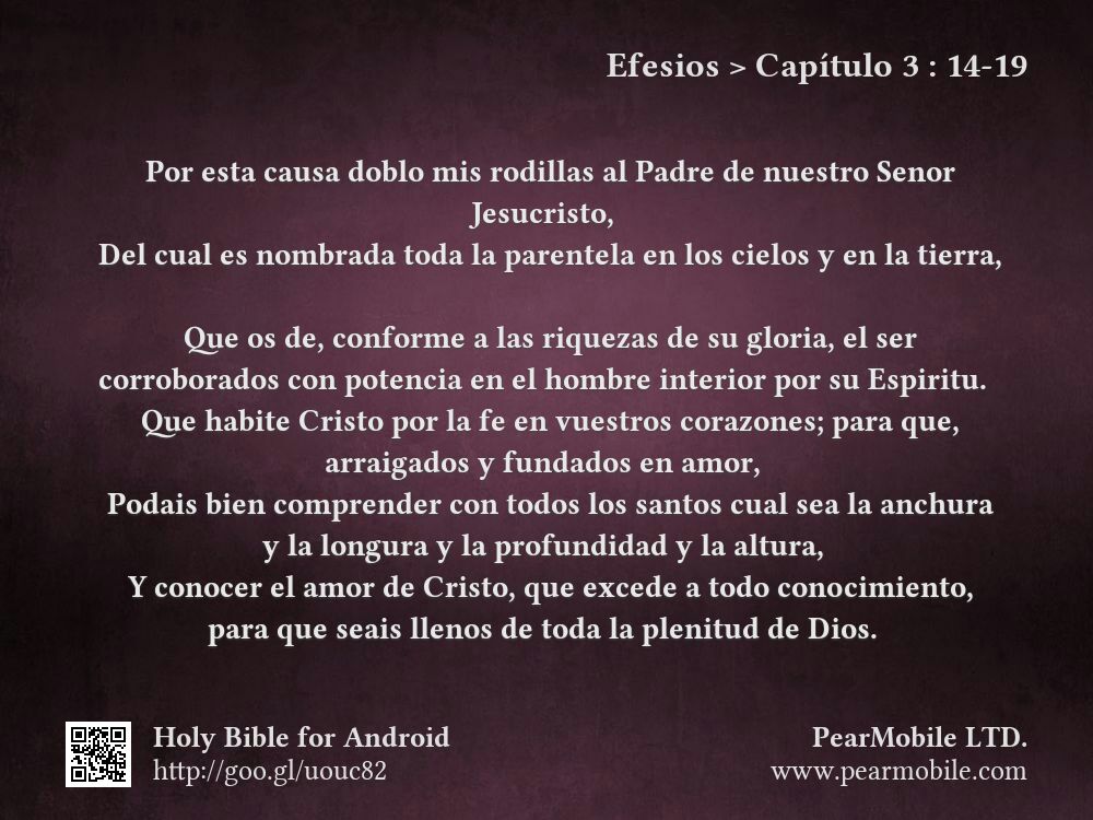 Efesios, Capítulo 3:14-19
